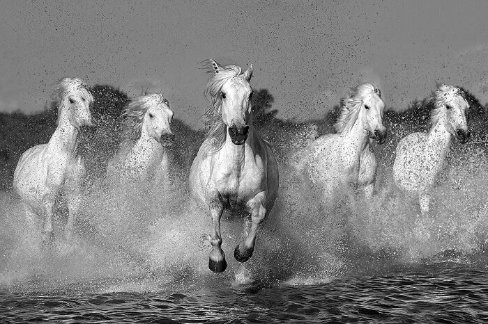 Monochrome Photography Awards 2023: 20 Stunning Images Captured by Skilled Photographers Across the Globe